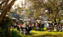 Discover Barossa Gourmet 010