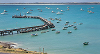 limestone coast boats