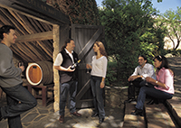 winery small